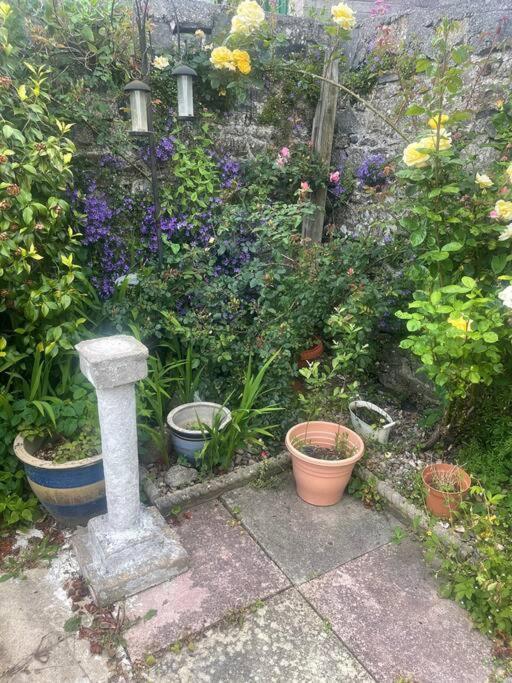 Ivybridge Cottage 外观 照片